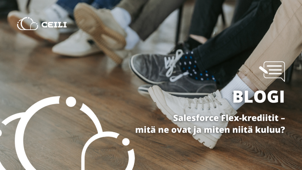 Salesforce Flex-krediitit – mitä ne ovat ja miten niitä kuluu?