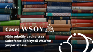 Case WSOY - Ceili